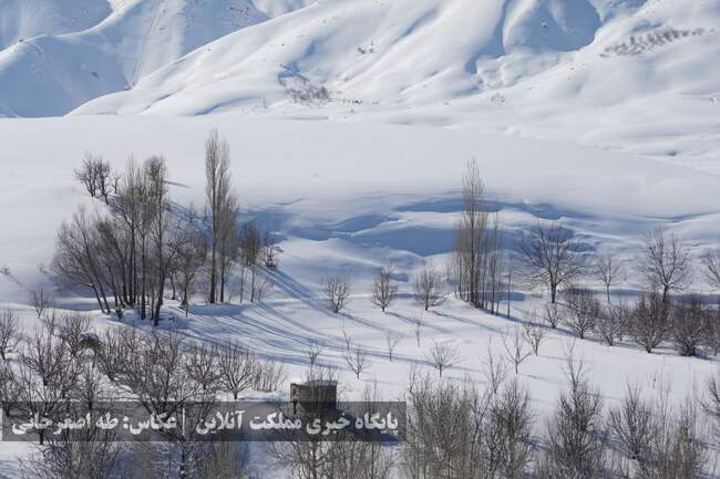 ارومیه زیر پوست برف
