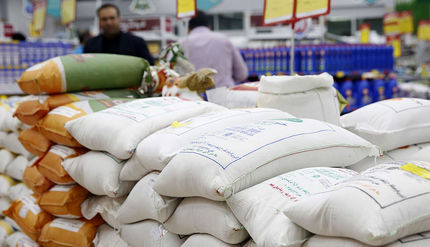 پرداخت ۱۲۱ هزار میلیارد تومان مطالبات گندمکاران تا به امروز / واردات برنج فعلا متوقف است