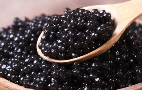 تولید ۲۵ تن خاویار در سال گذشته