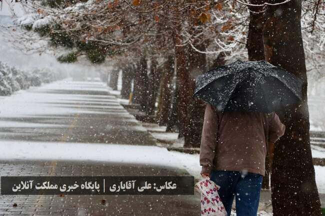 طراوت زمستانی ارومیه با اولین برف سال / تصاویر