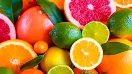 محدودیتی در صادرات مرکبات نداریم