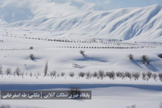 ارومیه زیر پوست برف