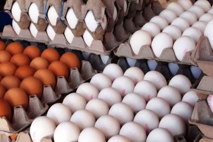 اعلام قیمت‌های جدید مرغ، تخم‌مرغ، شیر، روغن و لبنیات
