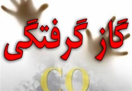 گازگرفتگی این بار در زنجان سه نفر را راهی بیمارستان کرد