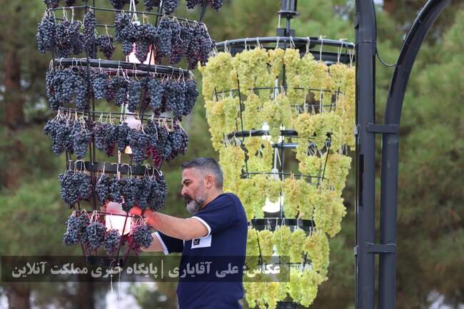 تصاویر | نهمین جشنواره انگور ارومیه 
