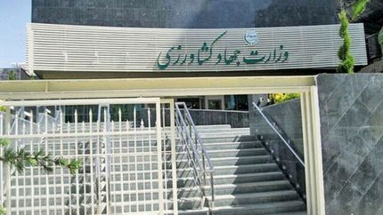 وعده حل مشکل خرید تضمینی خرما / آزاد شدن صادرات دام زنده