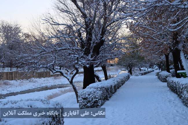 ارومیه سفیدپوش شد | تصاویر