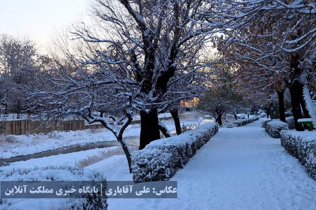 ارومیه سفیدپوش شد | تصاویر