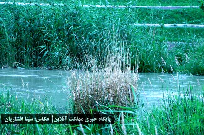 رودخانه‌ای به حال خود رهاشده در میان ارومیه