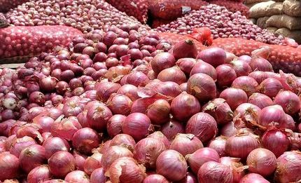 عوارض صادراتی پیاز توسط گمرک تعیین شد