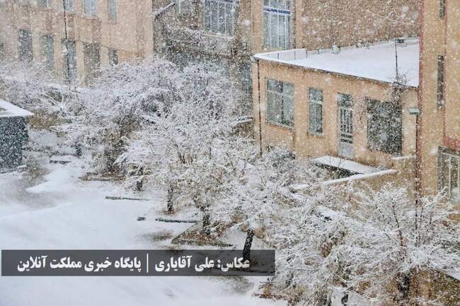 طراوت زمستانی ارومیه با اولین برف سال / تصاویر