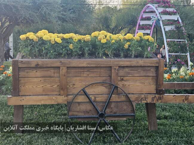 دوازدهمین جشنواره گل‌های ارومیه آغاز شد + تصاویر