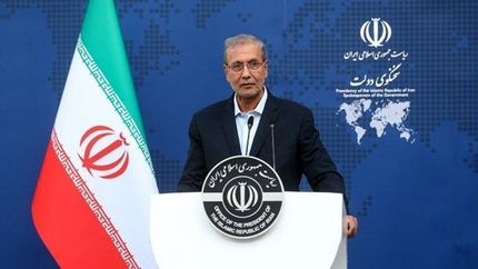 ربیعی: در حاشیه تجمعات حاضر بودم/ عزادار و سوگواریم