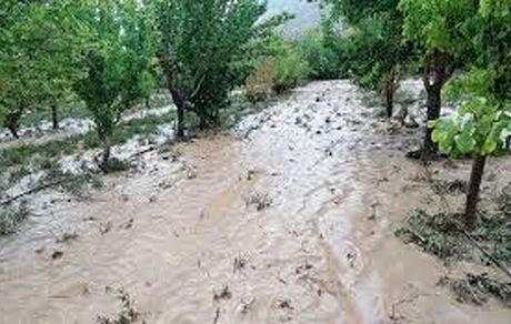 خسارت سنگین سیل و طوفان به کشاورزی خنج