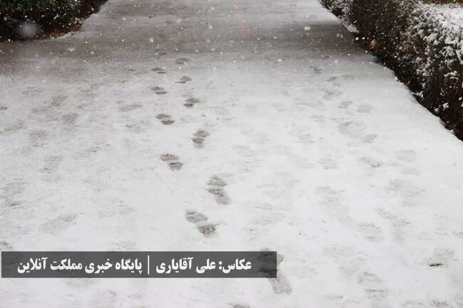طراوت زمستانی ارومیه با اولین برف سال / تصاویر