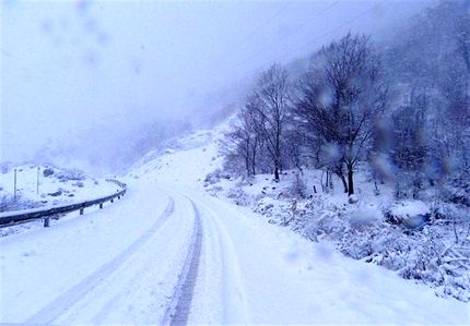 بارش ۱۵ سانتی برف در ارتفاعات استان گلستان