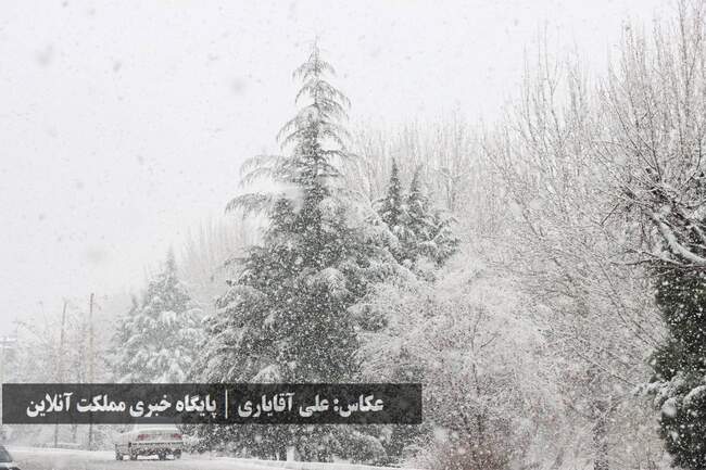 طراوت زمستانی ارومیه با اولین برف سال / تصاویر