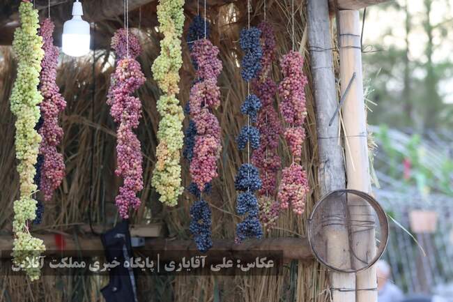 تصاویر | نهمین جشنواره انگور ارومیه 