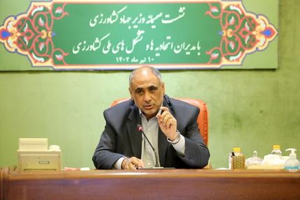 دولت، برنج مازاد شمال را خریداری می‌کند