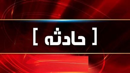 فوت آرنیکای ۱۷ ساله بدلیل باتوم خوردن تکذیب شد / سقوط از بالکن عامل درگذشت
