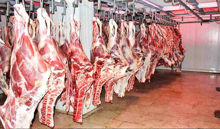 در واکنش به خبر فروش گوشت بز به جای گوسفند نر/سازمان دامپزشکی: امکان تقلب در فروش گوشت قرمز وجود ندارد
