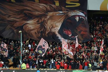سرمربی پرسپولیس، قطعا خارجی است