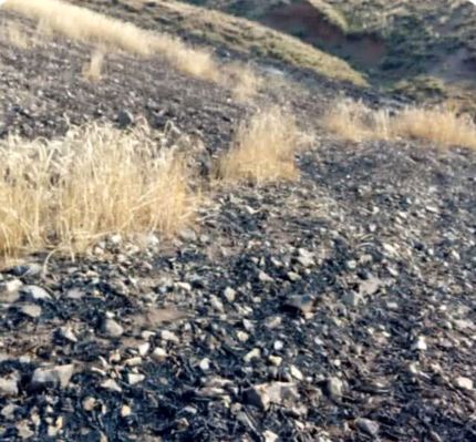 آتش اراضی کشاورزی و مراتع روستای کردلر خاموش شد