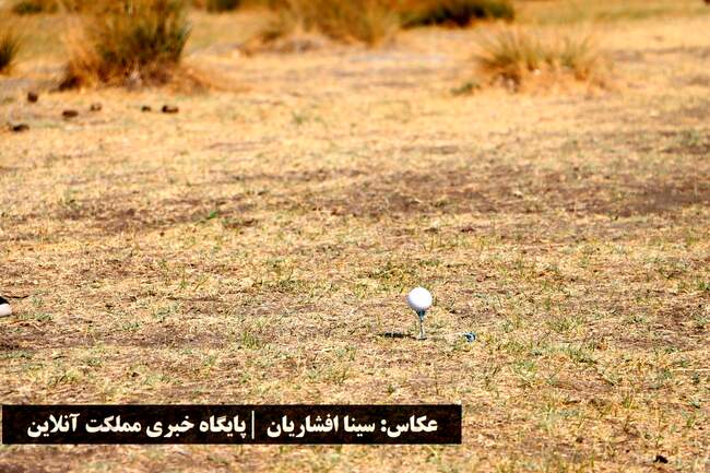 نفرات برتر مسابقات کشوری جایزه بزرگ گلف مشخص شدند