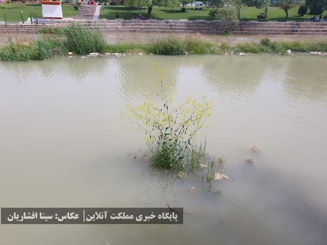 رودخانه‌ای به حال خود رهاشده در میان ارومیه