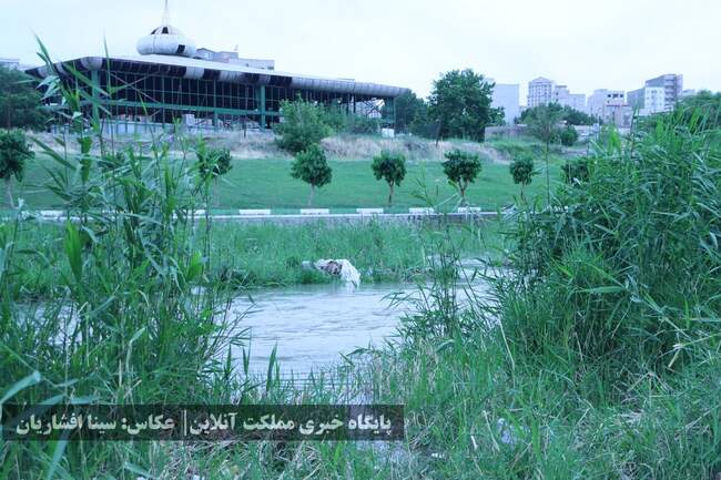 رودخانه‌ای به حال خود رهاشده در میان ارومیه