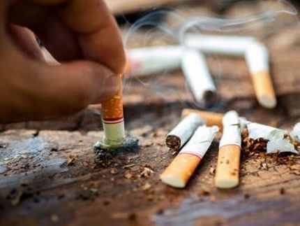 بندر دیلم به‌عنوان شهر بدون دخانیات انتخاب شد