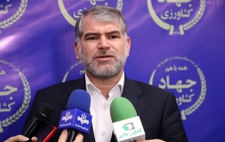 افزایش صادرات محصولات کشاورزی به چین