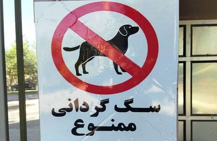 ممنوعیت سگ گردانی این بار در زنجان